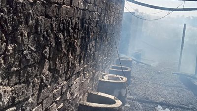 مصرع سيدة ونفوق 8 رؤوس ماشية واحتراق 20 إردب قمح في حريق حظيرة بأسيوط