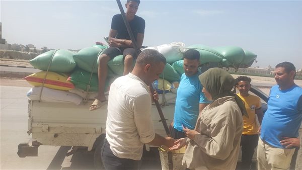 توريد محصول القمح