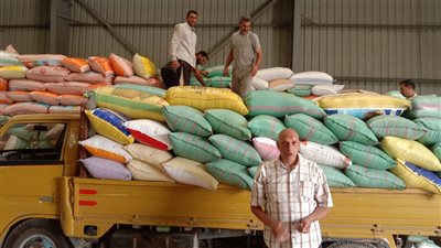 شون وصوامع البحيرة تستقبل 267 ألف طن قمح حتى الآن
