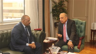 مصر تبحث مستجدات تنفيذ المرحلة الثانية لخط الربط الكهربائي مع السودان