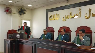 بـ28 طعنة.. الإعدام لقاتل زوجته خلال توصيلها أبنائها للمدرسة في البحيرة