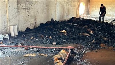 السيطرة على حريق في مخزن تابع لمصنع أسماك ببورسعيد دون إصابات | صور 