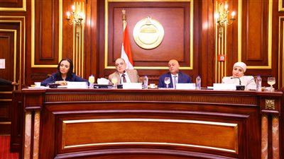 وزيرة التضامن: تنظيم معرض دائم لديارنا قبل نهاية العام الجاري بالقاهرة.. وآخر بالعلمين