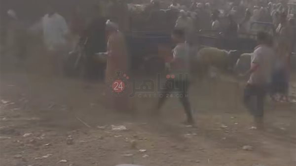 جانب من المشاجرة