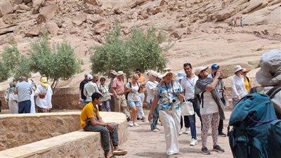 389 سائحا وزائرا في زيارة لمدينة سانت كاترين 