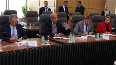 مصر والسويد تبحثان تعزيز التعاون في الطاقة المتجددة والربط الكهربائي الأوروبي