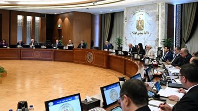 ننشر الخطة الكاملة للحكومة لترشيد استهلاك الكهرباء.. تبدأ بتخفيض استهلاك الطاقة بالجهاز الإداري بنسبة 30% 