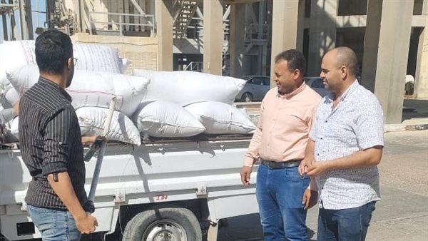 توريد محصول القمح