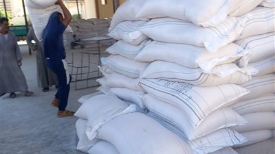 توفير اللحوم بأسعار مخفضة.. استعدادات مكثفة لاستقبال عيد الأضحى بقنا