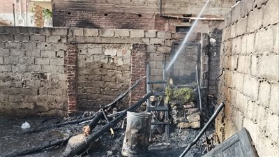 حريق يلتهم حظيرة دواجن داخل مزرعة مانجو بالإسماعيلية