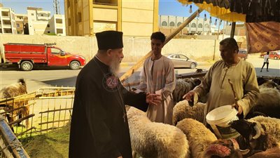 عادة سنوية.. راعي الأقباط الكاثوليك بالغردقة يشتري خروف العيد| صور
