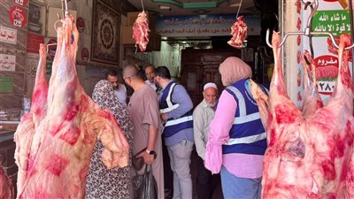 حملات توعية للتخلص السليم من مخلفات الأضاحي وترشيد استهلاك المياه بمختلف أحياء الإسكندرية