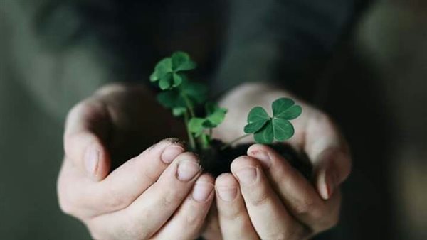 دعاء يوم عرفات لغير