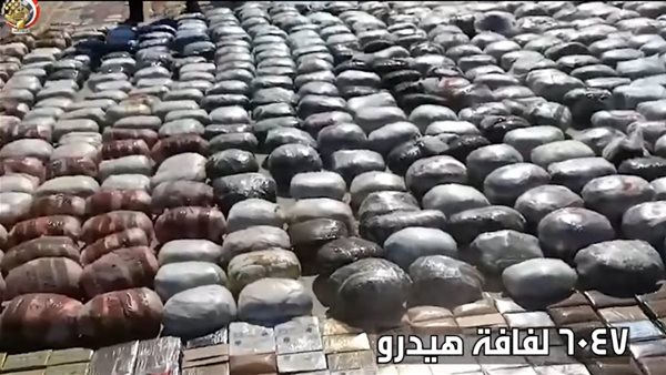  قوات حرس الحدود