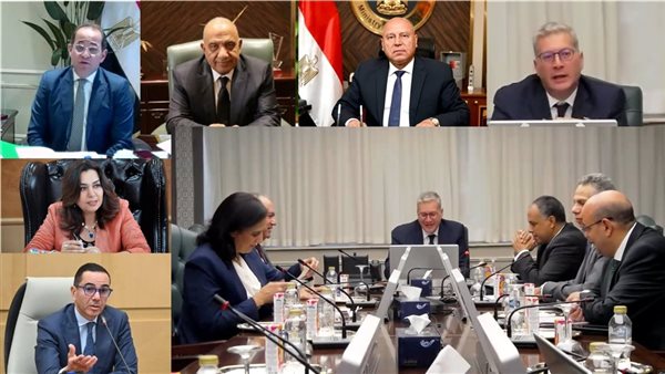 خلال اللقاء عبر الفيديوكونفرانس