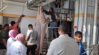 متاحة مجانا خلال العيد.. الزراعة ترفع درجة الاستعداد القصوى بجميع المجازر الحكومية لفحص الأضاحي