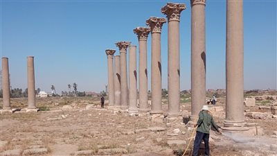 الآثار تستمر في أعمال إزالة الحشائش بمنطقة الأشمونين الأثرية | صور 