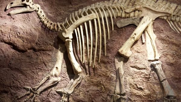 الديناصورات - تعبيرية