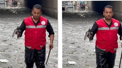 روح وواجبي ألحقها.. أول تعليق لفرد الهلال الأحمر بعد تصدره التريند لإنقاذه طائرا بالإسكندرية