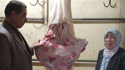 استجابة لشكوى من الهيئة البيطرية بالقاهرة.. حملة تضبط لحوما ودهونا مجهولة المصدر بالدقهلية