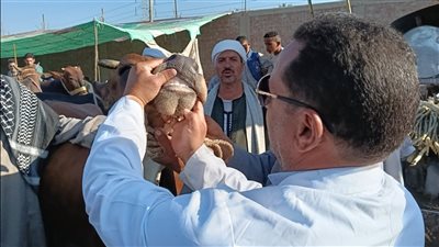 محافظ الجيزة: فتح 23 مجزرًا بالمجان أمام المواطنين خلال أيام عيد الأضحى المبارك