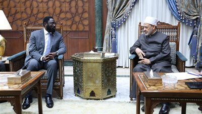 شيخ الأزهر: الشعب الفلسطيني يتعرض لأسوأ إبادة جماعية في ظل تخاذل دولي 