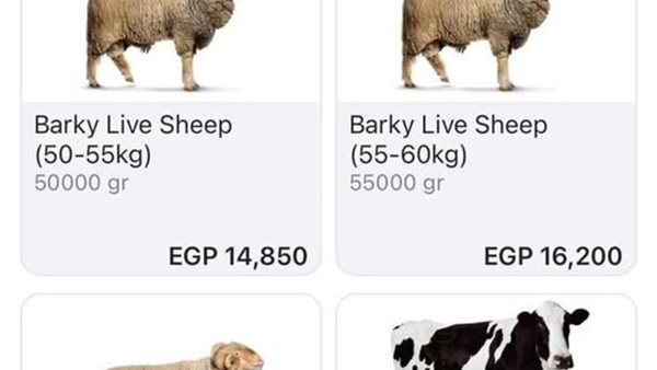 موقع إلكتروني لبيع