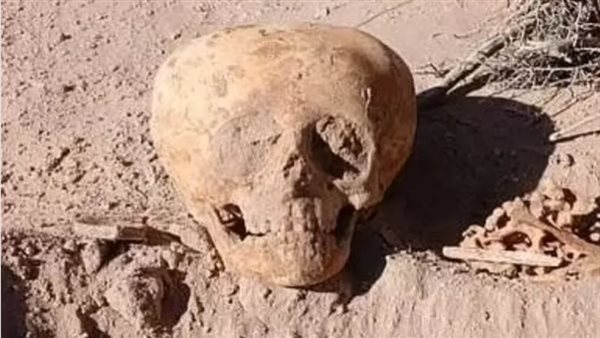  جماجم غريبة الشكل