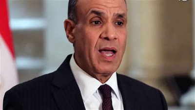 وزير الخارجية: مصر لن تقبل بوجود قواعد عسكرية لدول غير متشاطئة على البحر الأحمر