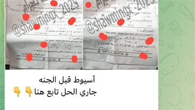 بسبب التسريب.. مصادر بالتعليم: إلغاء امتحان الجبر والإحصاء لطلاب الشهادة الإعدادية بأسيوط وإعادته