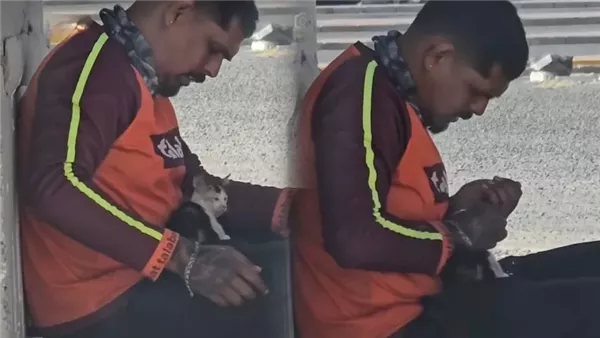 عامل التوصيل