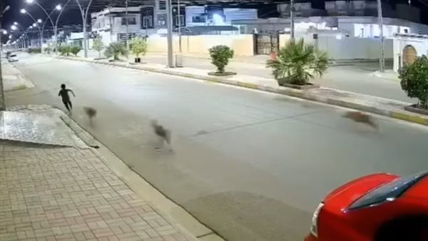 مشهد مؤثر لطفل ينطق