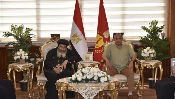 الجهود التنفيذية