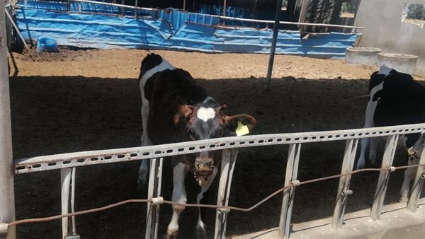 تشخيص وعلاج أكثر