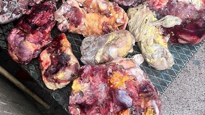 بيطري دمياط تضبط أكثر من نصف طن لحوم غير صالحة للاستهلاك الآدمي