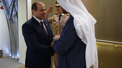 الرئيس السيسي ونظيره الإماراتي يؤكدان ضرورة إدخال المساعدات الإنسانية إلى غزة دون عراقيل