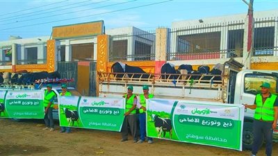 غدا.. تضامن سوهاج والطب البيطري يشرفان على ذبح 35 عجل بلدي بمناسبة عيد الأضحى في سوهاج