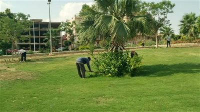 جهاز الشروق يرفع درجة الاستعداد بالحدائق والمتنزهات ويشكل غرفة طوارئ خلال عطلة عيد الأضحى