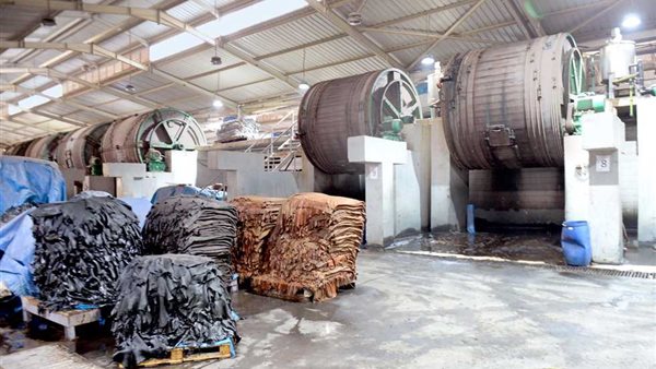 صناعة الجلود