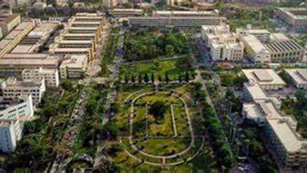 جامعة المنصورة 