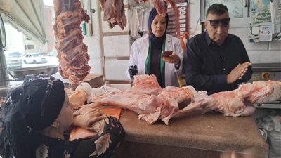 ضبط لحوم وسجق وأحشاء فاسدة خلال حملة تموينية على مطاعم ومحال بالسويس