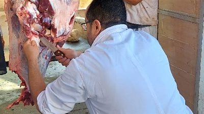 محافظ الجيزة: ذبح 2202 أضحية للمواطنين بمجازر المحافظة خلال اليوم الأول والثاني للعيد 