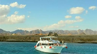 الجزيرة البيضا.. رحلة للتمني وعلاج الأمراض الروماتيزمية ونمو 150 نوعًا من الشعب المرجانية بشرم الشيخ