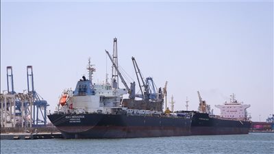 ميناء دمياط يستقبل 11 سفينة خلال 24 ساعة