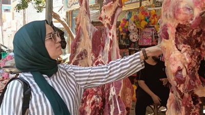 ضبط لحوم غير مختومة وسلع فاسدة خلال حملة تموينية موسعة بببا في بني سويف