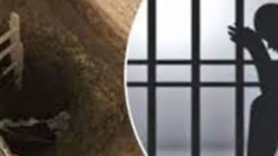 أصاباه في عينه.. الحبس لشقيقين تعدّيا على موظف أثناء تنفيذ إزالة بسوهاج