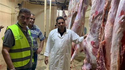 صندوق التأمين على الماشية يذبح 450 أضحية لمؤسسات المجتمع المدني خلال أيام العيد| صور 