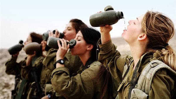 الجيش الإسرائيلي