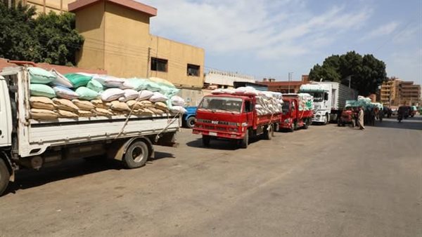 توريد القمح في المنوفية