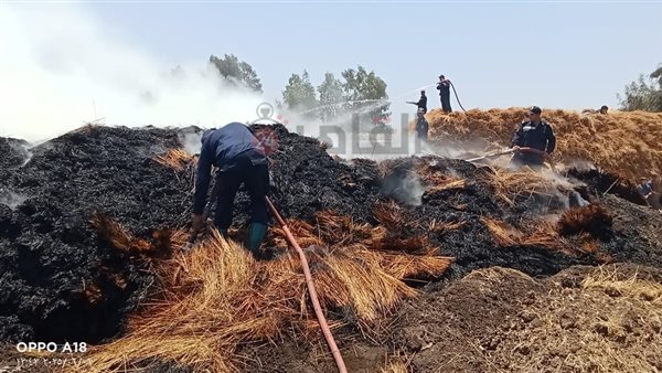 حريق في شونة كتان